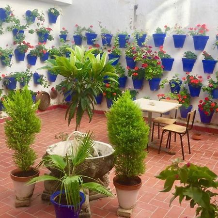 Apartamento Toril-Casco Historico Cordoba Ngoại thất bức ảnh